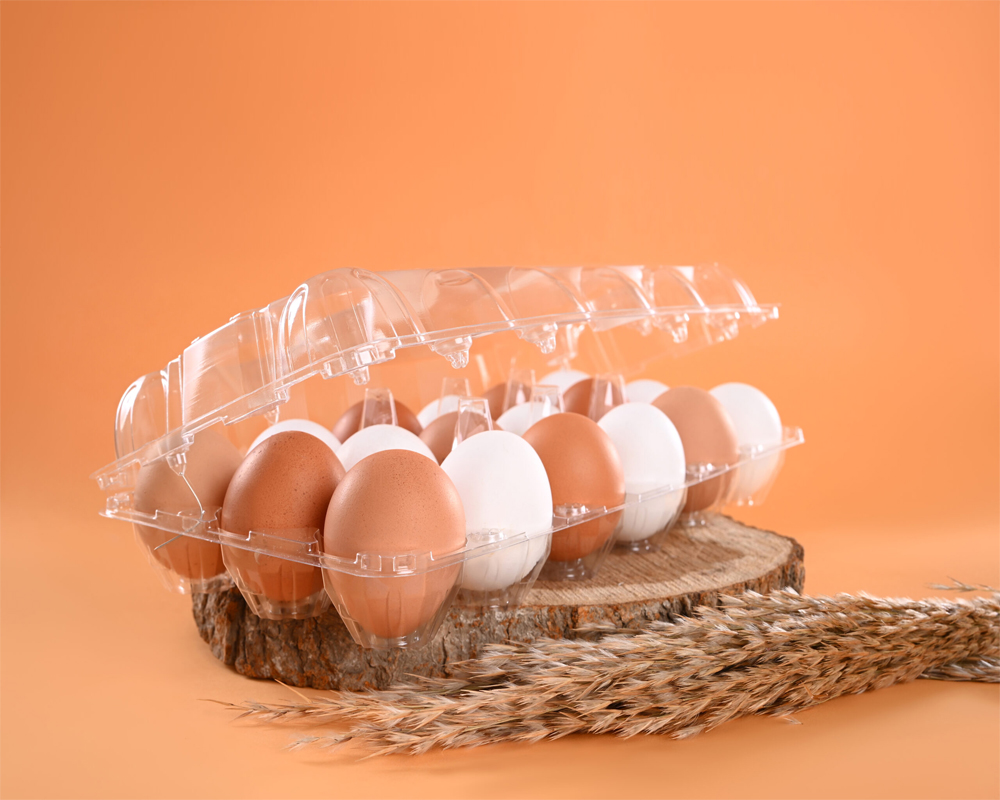 egg-tray